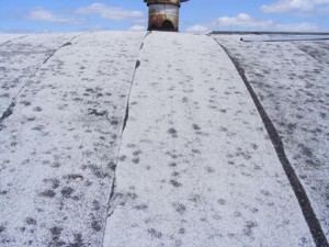 Hail damaged roof repair surecoat systems blog